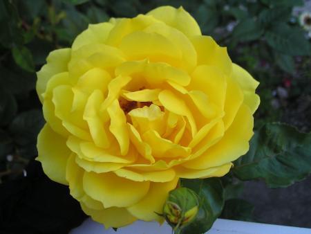 ................................................